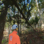 VRで安全に林業研修を「林業安全教育360VR」全国森林組合連合会にて運用開始
